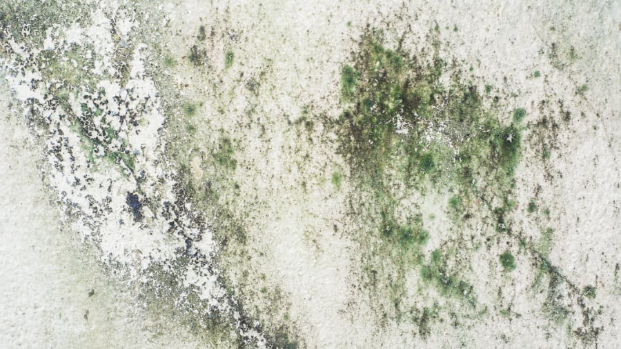 AdobeStock_89323706 (1)